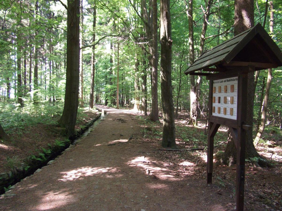 Ferienwohnung Erzgebirge - Pobershau - Mit Schoenem Ausblick, Ruhige, Beste Lage Εξωτερικό φωτογραφία