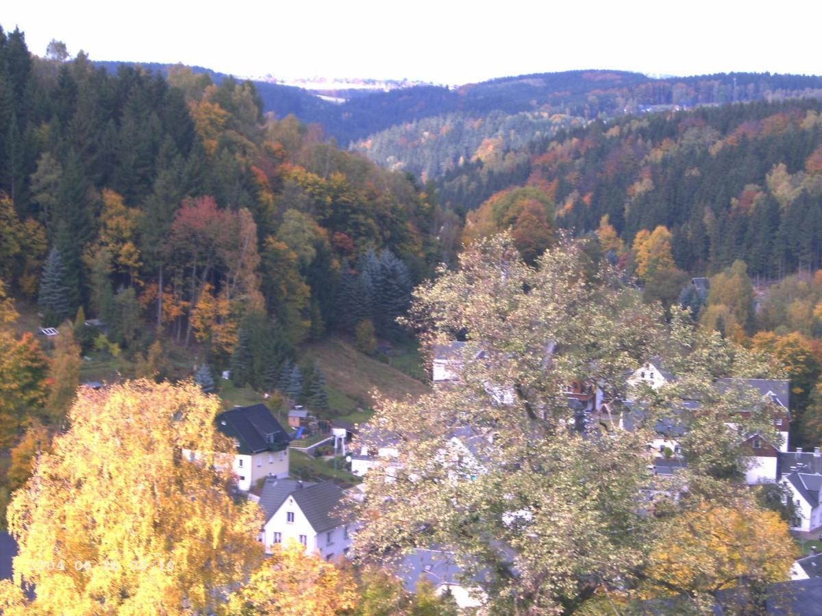 Ferienwohnung Erzgebirge - Pobershau - Mit Schoenem Ausblick, Ruhige, Beste Lage Εξωτερικό φωτογραφία